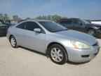 2005 HONDA ACCORD