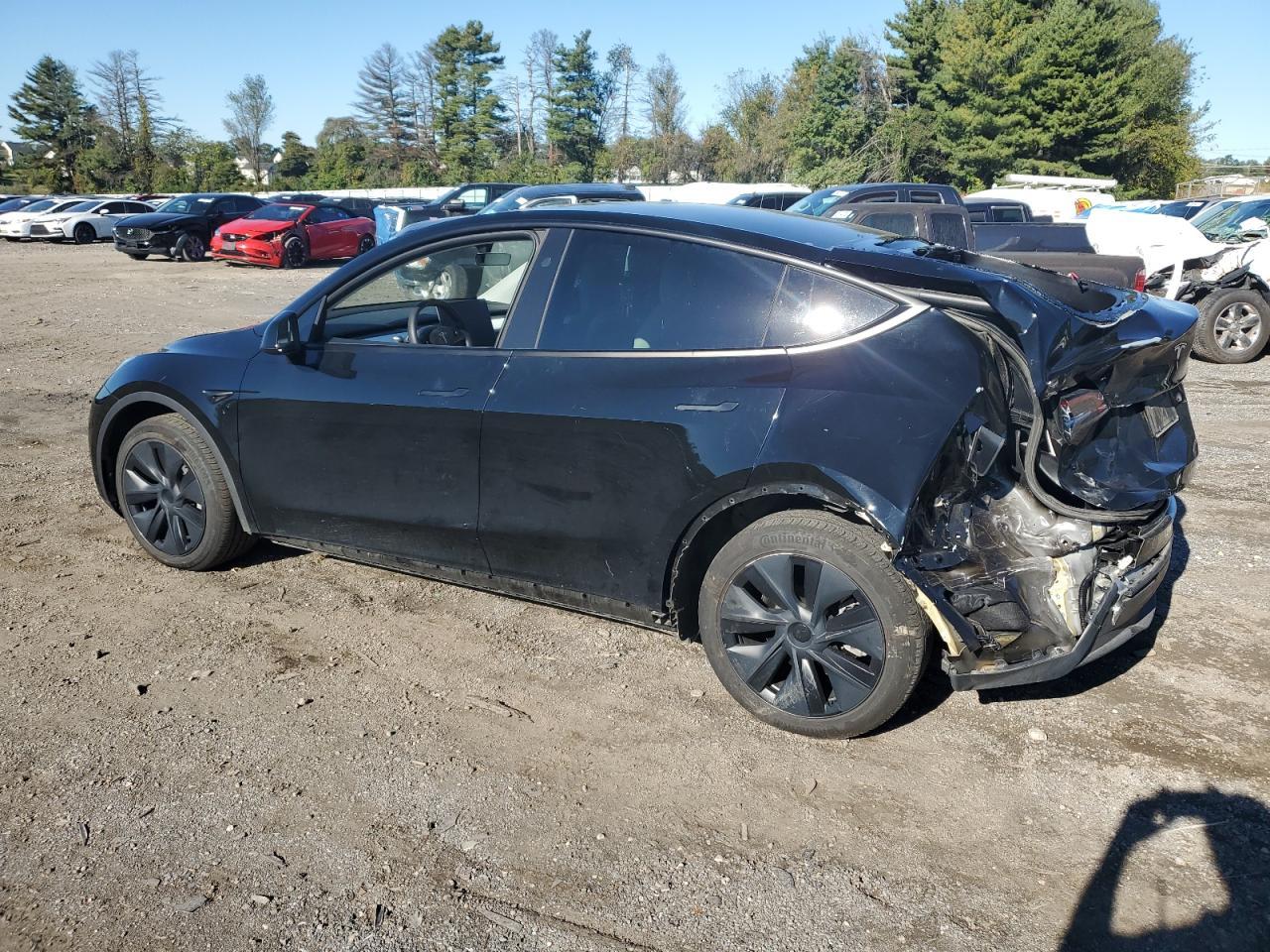 2024 TESLA MODEL Y