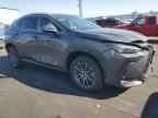 2025 LEXUS NX 250