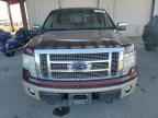 2009 FORD F-150