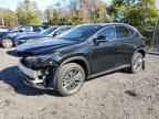 2025 LEXUS Nx