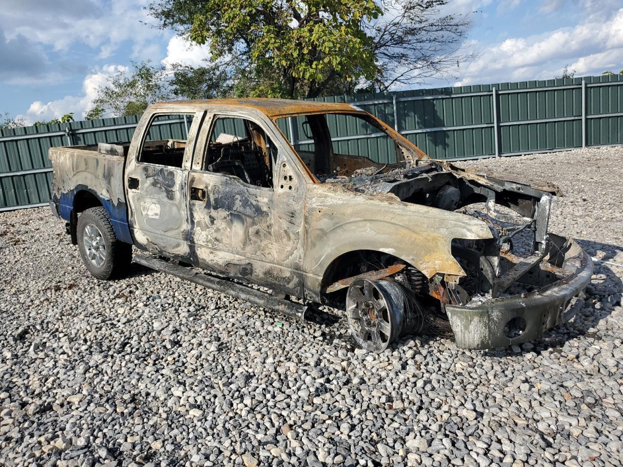 2010 FORD F-150