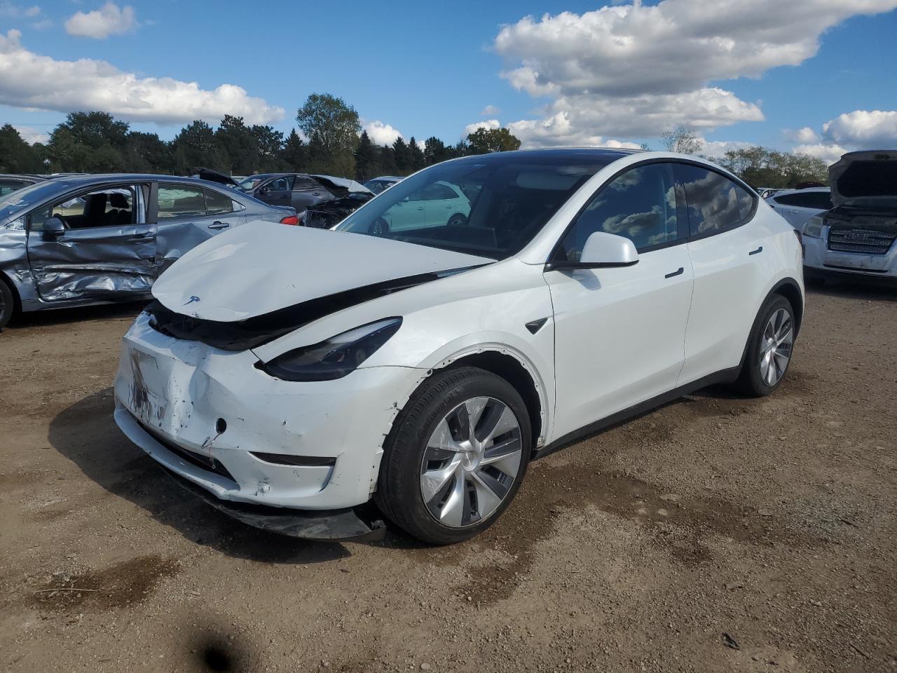 2024 TESLA MODEL Y