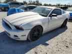 2013 FORD MUSTANG