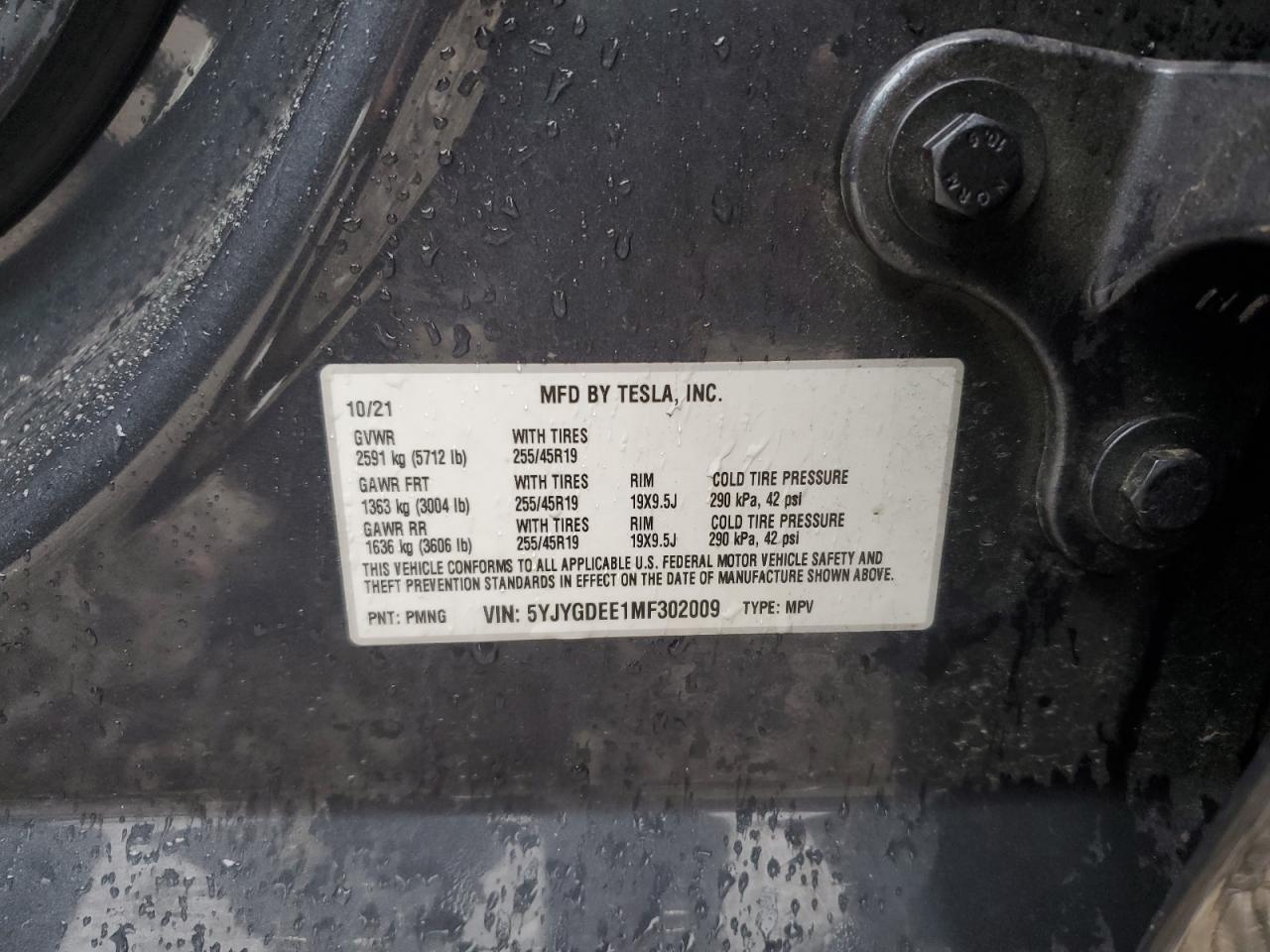 2021 TESLA MODEL Y