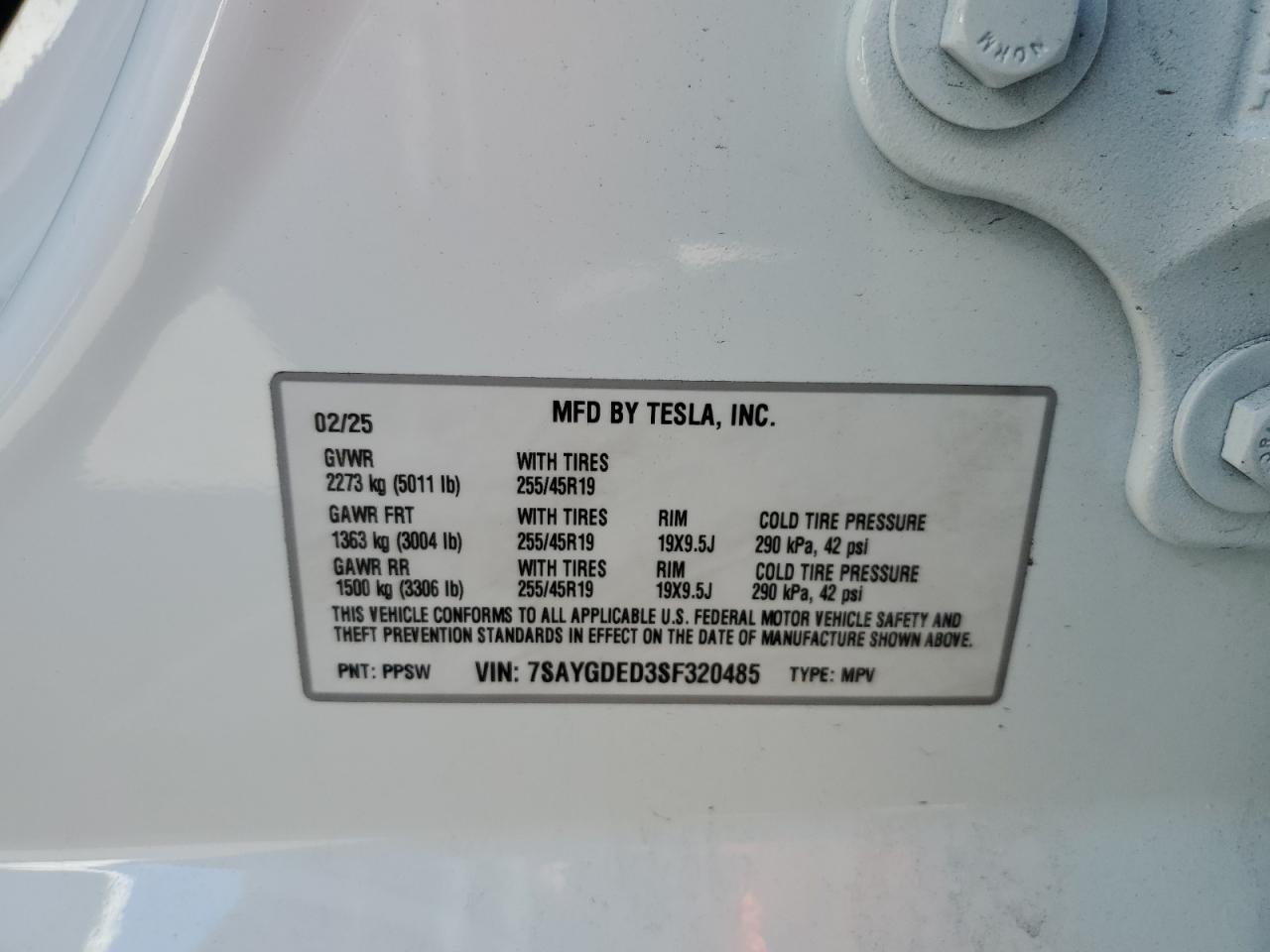 2025 TESLA MODEL Y