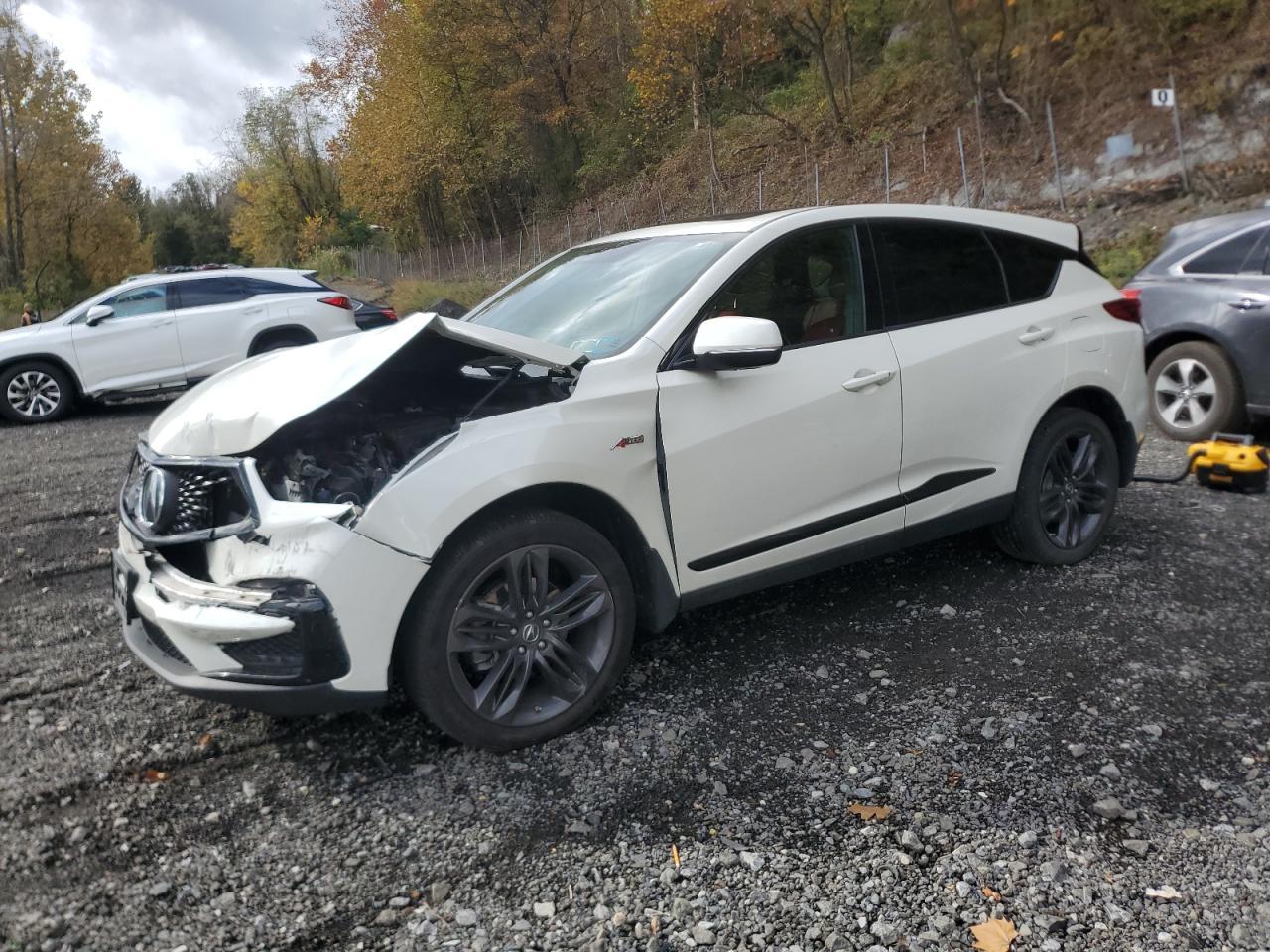 2019 ACURA RDX