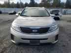 2014 KIA SORENTO