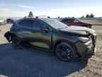 2025 LEXUS Nx