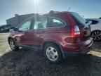 2010 HONDA CR-V