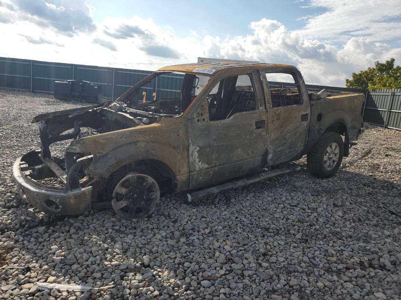 2010 FORD F-150