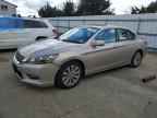 2013 HONDA ACCORD