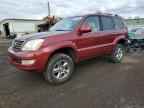 2008 LEXUS Gx