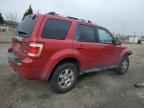 2010 FORD ESCAPE