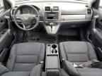 2010 HONDA CR-V