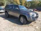 2019 TOYOTA 4Runner