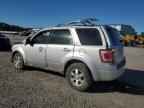 2010 FORD ESCAPE