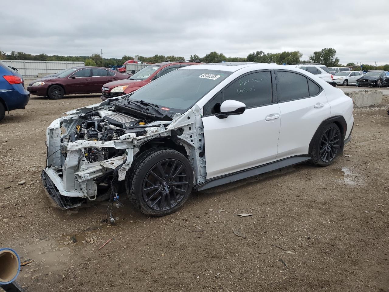 2023 SUBARU WRX