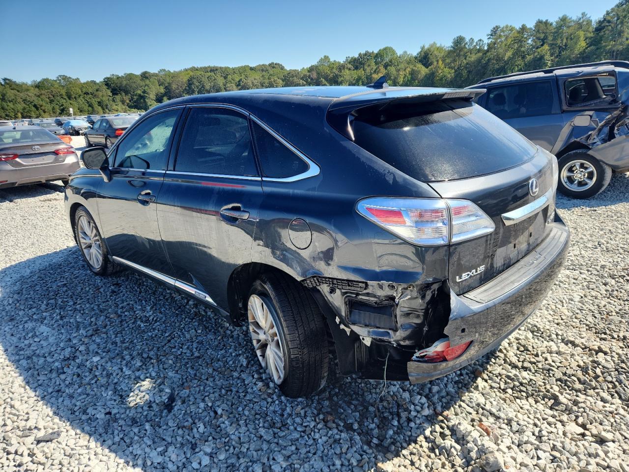 2010 LEXUS Rx