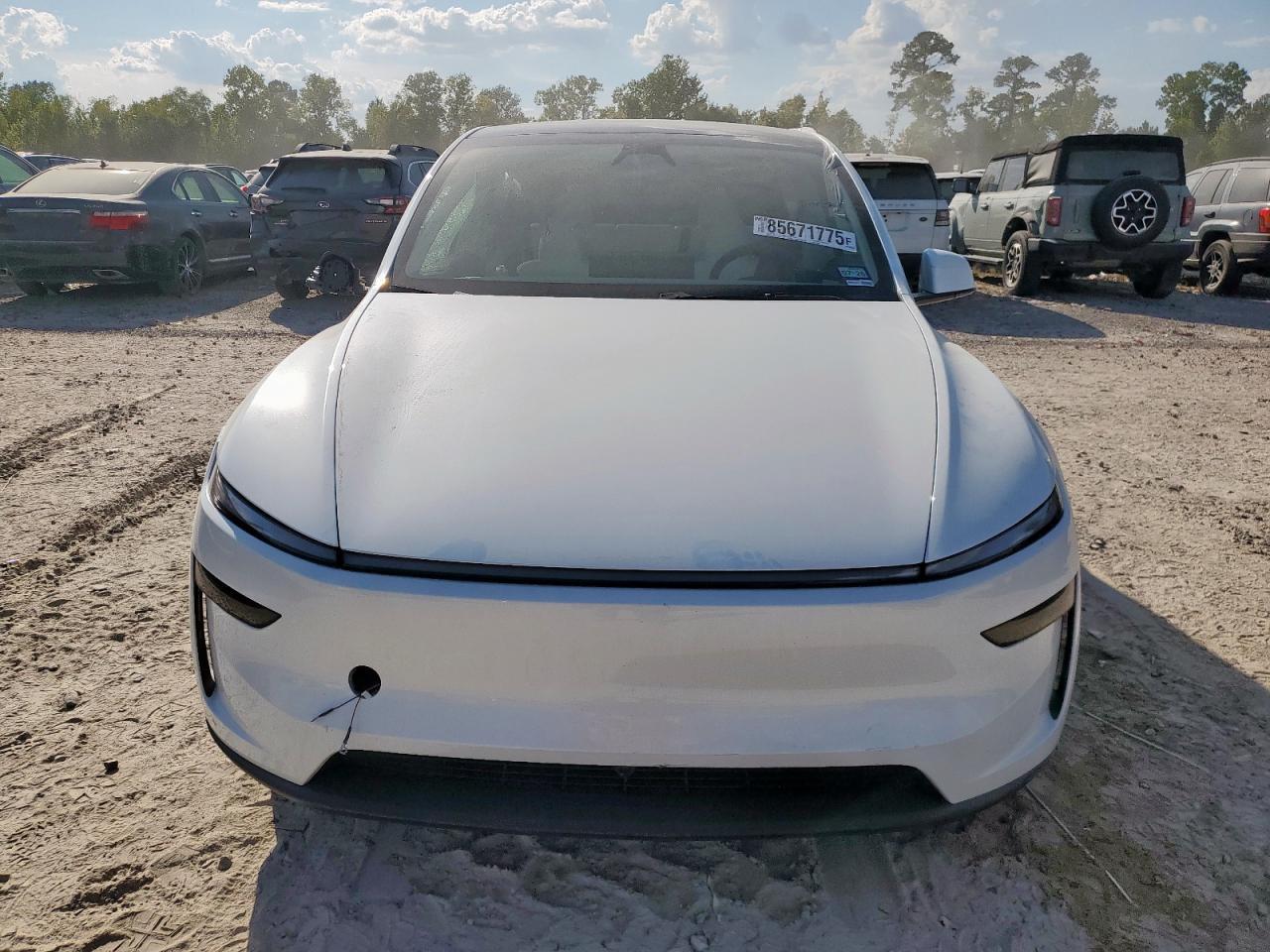 2026 TESLA MODEL Y