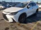 2024 LEXUS NX 250