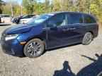 2024 HONDA ODYSSEY