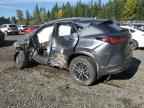 2025 LEXUS Nx