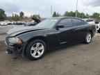 2013 DODGE CHARGER