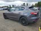 2019 MASERATI Levante