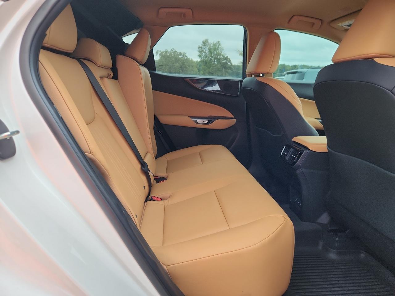 2025 LEXUS Nx