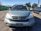 2010 HONDA CR-V