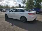 2020 KIA OPTIMA