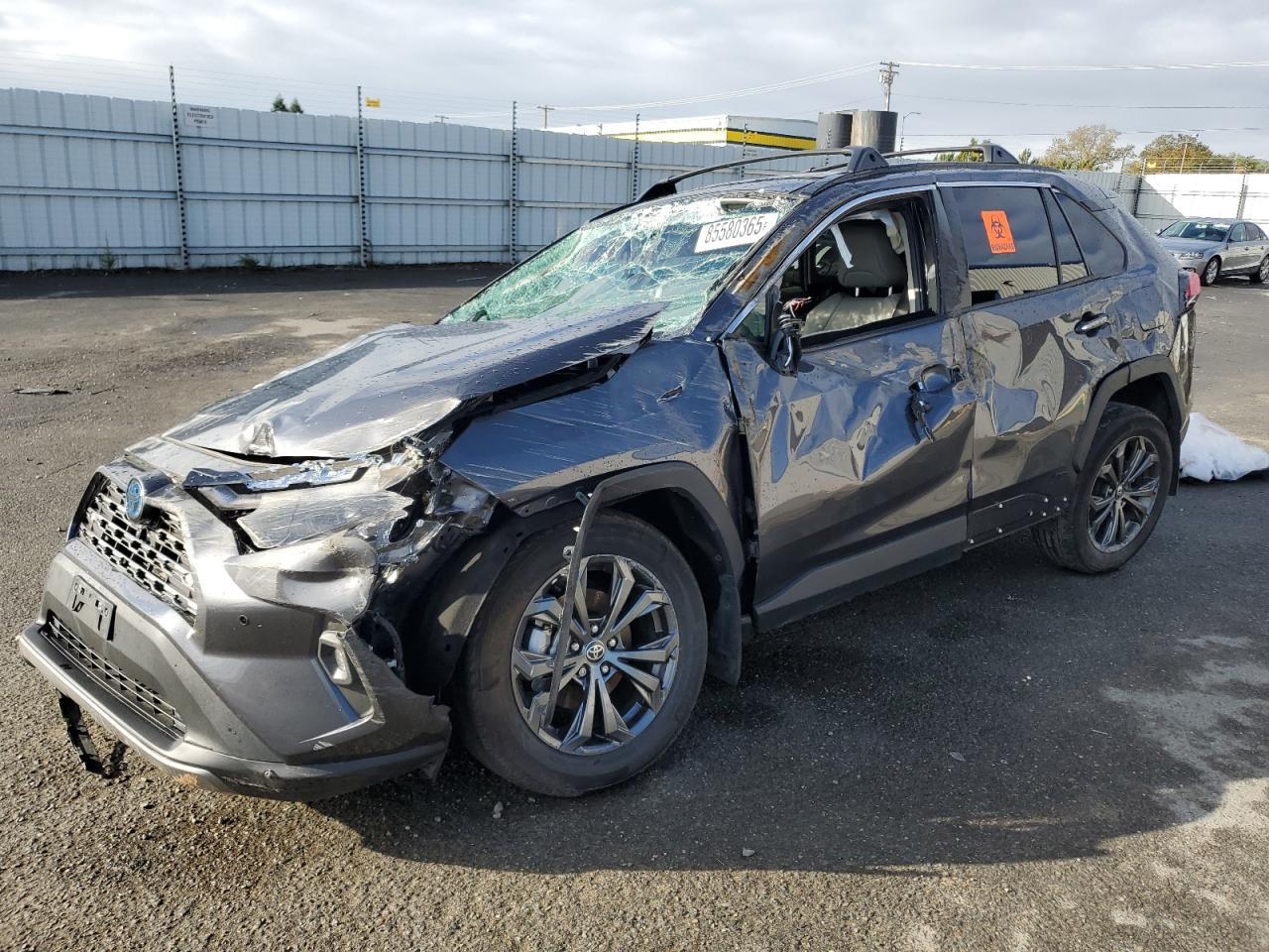 2023 TOYOTA RAV4