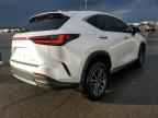 2024 LEXUS NX 250