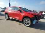 2025 LEXUS Nx