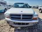 2001 DODGE Dakota