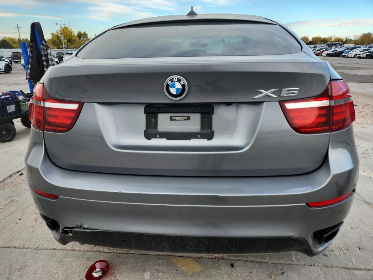 2013 BMW X6