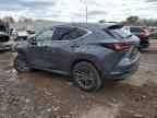 2025 LEXUS NX 350