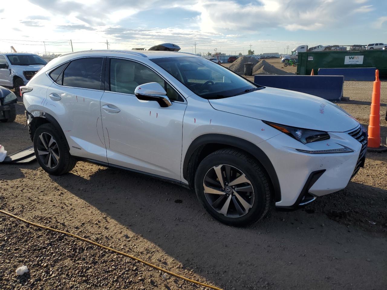 2019 LEXUS NX 300H