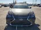 2024 LEXUS Es