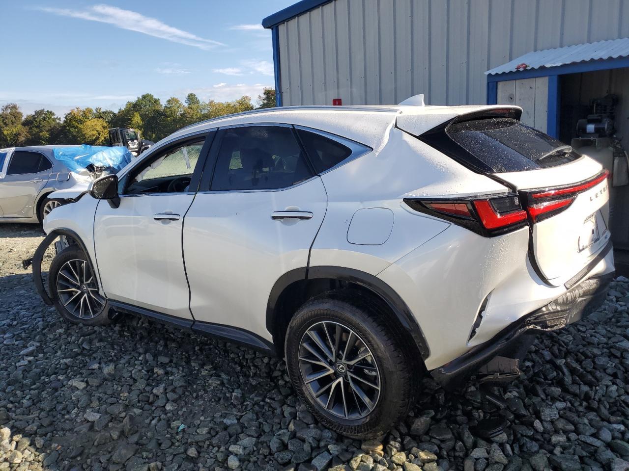 2025 LEXUS Nx