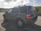 2009 FORD ESCAPE