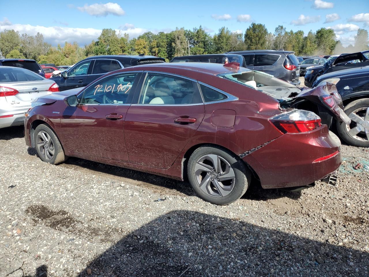 2019 HONDA Insight
