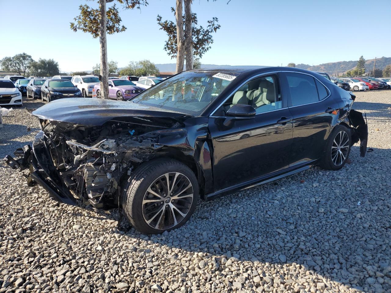 2019 TOYOTA CAMRY