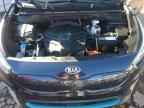 2020 KIA Niro