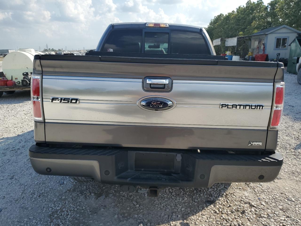 2010 FORD F-150