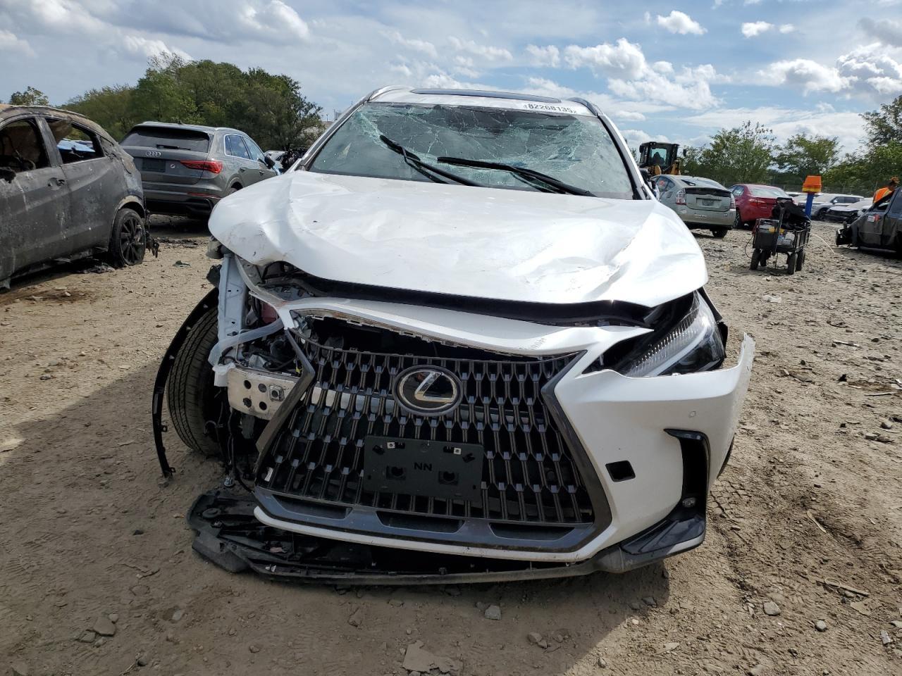 2024 LEXUS Nx