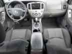 2006 MAZDA Tribute