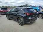 2026 LEXUS Nx