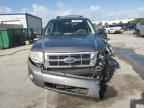 2009 FORD ESCAPE